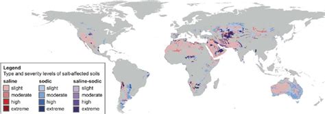 Global Salt Affected Soils By Type And Severity Based On Data From
