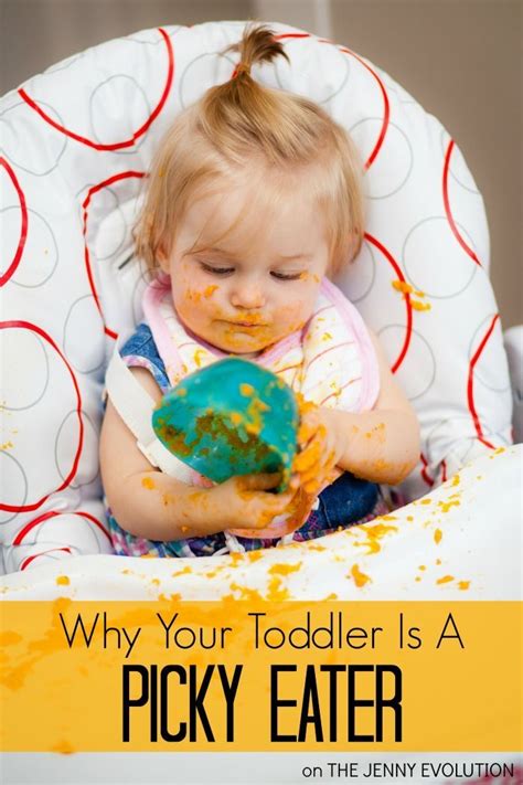 1.5 cups has 140 calories, 4g fiber, 1g added sugar and 4g protein. Why Your Toddler is a Picky Eater | Mommy Evolution ...