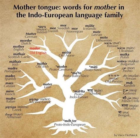 Language Trees The Importance Of Mother