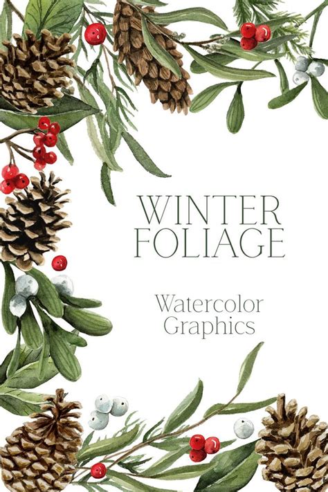 Winter Foliage Clip Art Holiday Graphics Winter Greenery Pngs