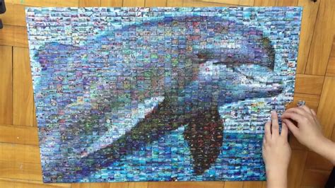Dolphin Photomosaics Puzzle Timelapse Jessjoaquin Youtube