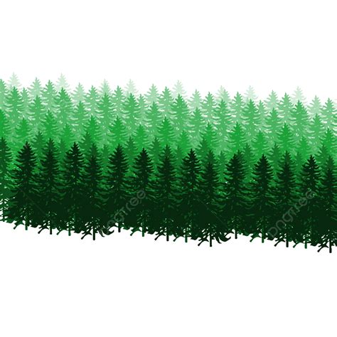 Pine Forest Vector Hd Png Images Pine Forest Pine Forest Forest