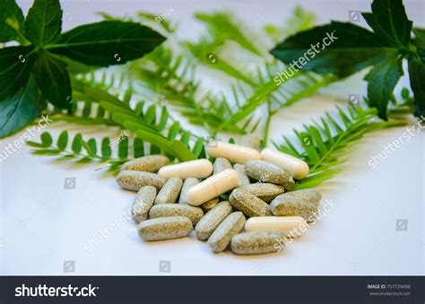 Herbal Medicines Drug Made Plants Natural Stock Photo 757729498