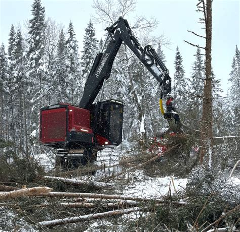 Minnesota Logger Follows Road To Improvement To Cut To Length
