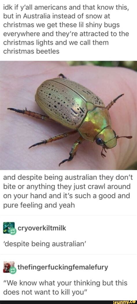 Pin By Kayleigh Hall On Amazing Insect World Funny Pictures