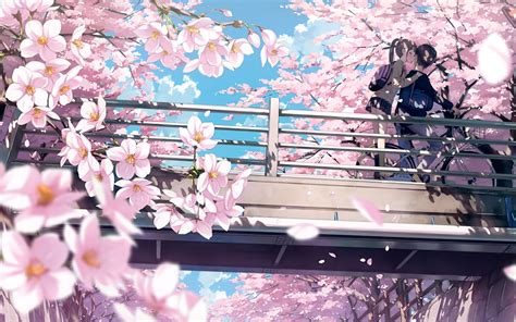 Sakura Anime Background 4k Anime Backgrounds Wallpaper HD 4K
