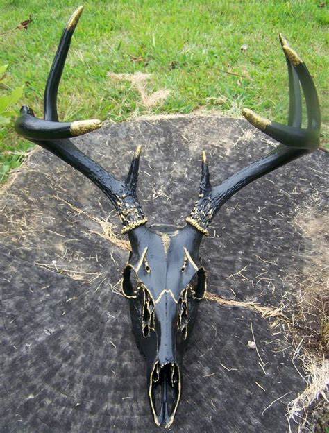 Hand Painted European Deer Skull Mount W Antlers Black And Gold