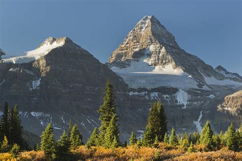 Mount Assiniboine Canada Photograph By Kevin Schafer Pixels