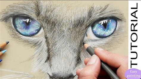 How To Draw A Realistic Cat Eye