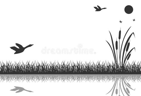The Black Silhouette Of Marsh Grass With Flying Ducks Is Reflected In