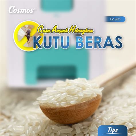 Antara cara lain yang boleh digunakan untuk meredakan batuk adalah dengan berkumuh menggunakan air garam. Cara Ampuh Hilangkan Kutu Beras