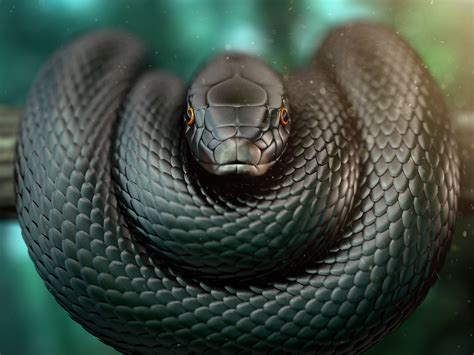 Angenommen mich beißt eine schwarze mamba (in den arm ), und ich schneide mir innerhalb 10 sekunden in den arm und sauge würde ich überleben so bald sie ganz eingedrungen sind, drückt die schlange das gift in die wunde. black_mamba_02.png (1600×1200) | Black mamba snake, Mamba ...