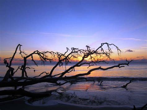 Submitted 1 year ago by questionablefries. Beaufort, South Carolina - Visit this Quaint Town • Nurse ...