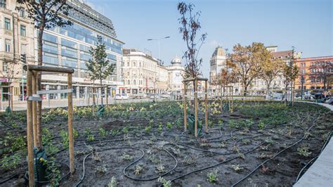 Blaha Lujza Tér Egy Kis Liget Budapest Közepén Képek Infostarthu