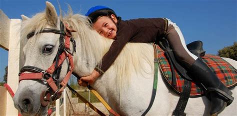 Equine assisted therapy for mental health treatment continues to grow in popularity. Horses Help Who? - Horse help