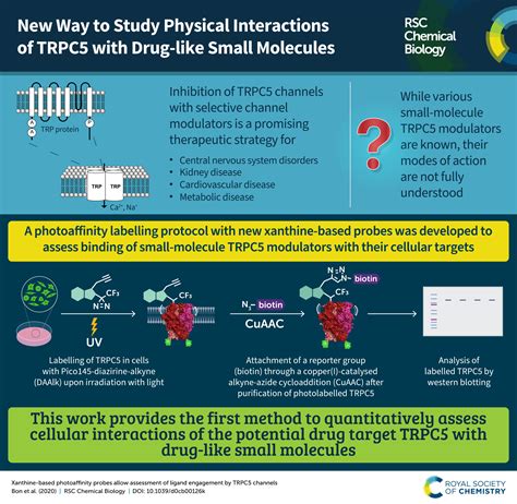 Rsc Chemical Biology Infographics Rsc Chemical Biology Blog