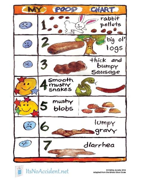 6 Images Bristol Stool Chart For Kids And View Alqu Blog