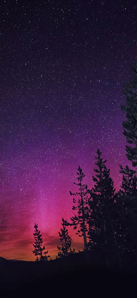 Aurora Northern Lights Iphone Wallpaper