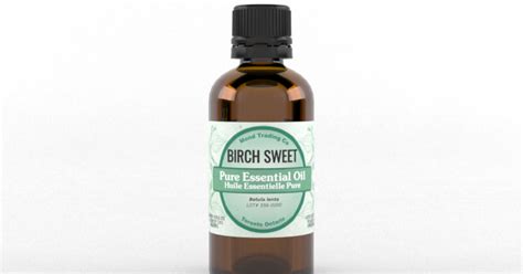 Birch Sweet Pure Essential Oil Betula Lenta Top Quality Herbs