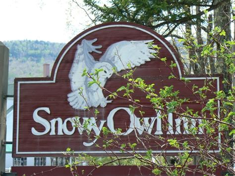 Snowy Owl Inn Nh Snowy Owl Snowy Owl