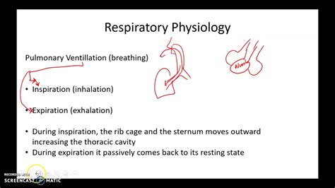 Respiratory Physiology Part 1 Youtube