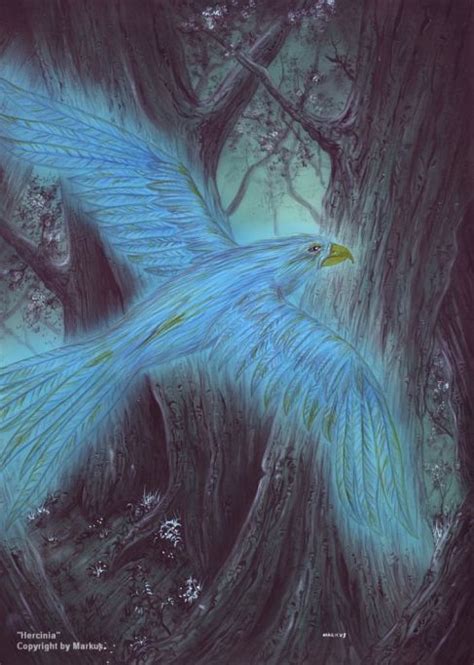 Librum Prodigiosum Mythological Creatures Mythical Birds Mythical