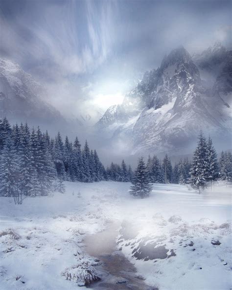 Winter Scene Stock By Wyldraven On Deviantart