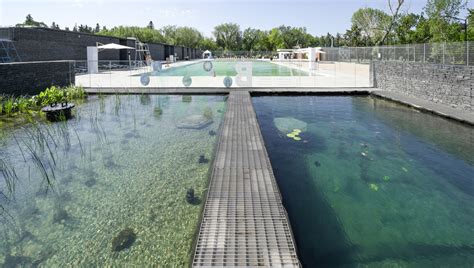 Edmonton Natural Swimming Pool Receives Top Award Pool And Spa Marketing