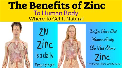 The Benefits Of Zinc Why You Need Zinc Daily And Where To Get The