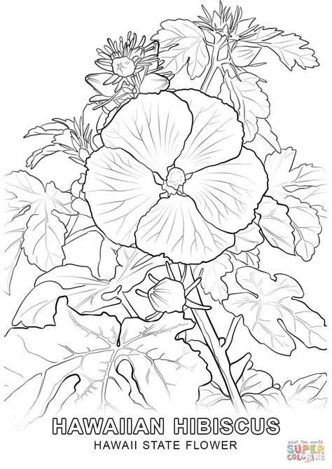 Patriotic state flag coloring pages alabama hawaii. hawaii-state-flower-coloring-page.jpg (1020×1440) | Flower ...