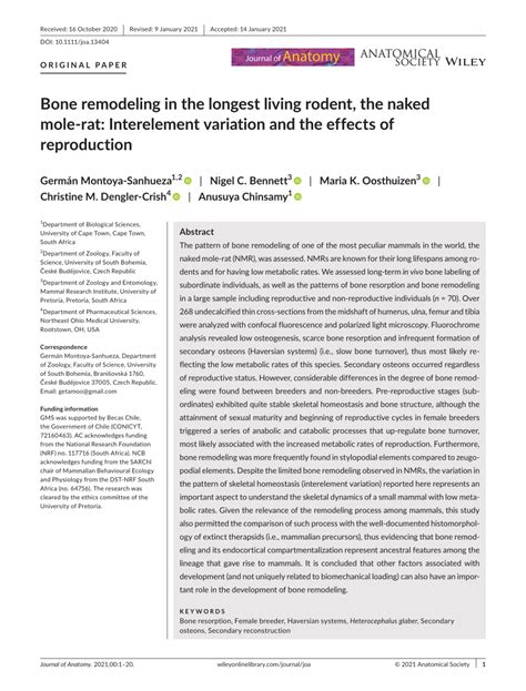 Pdf Bone Remodeling In The Longest Living Rodent The Naked Molerat Interelement Variation