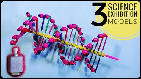 Easy Dna Model Project Ideas Science Exhibition Models Youtube