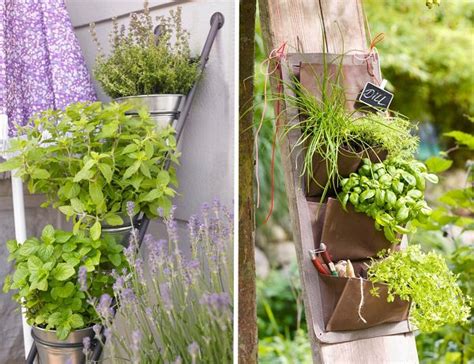 8 Balcony Herb Garden Ideas You Would Like To Try