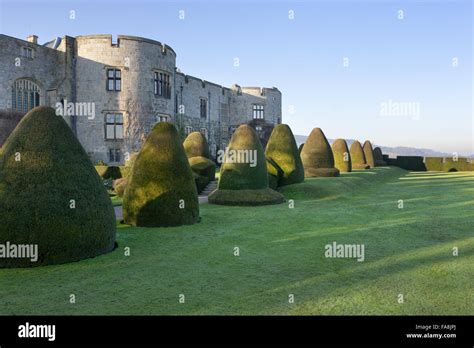 Yew Topiary In The Formal Garden At The East Front Of Chirk Castle