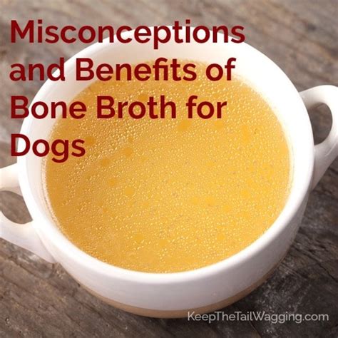 Becker as she makes some for her bone broth is a source of nourishment that has been around for hundreds of years. Misconceptions and Benefits of Bone Broth for Dogs | Keep ...
