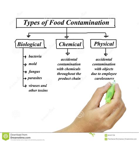 Chemical substances include anything from pesticides, nitrogen, bleach, salts, metals, toxins, and other various elements or compounds. Types Of Food Contamination Image For Use In Manufacturing ...
