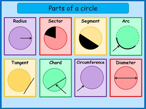 What Are The Parts Of A Circle A Plus Topper