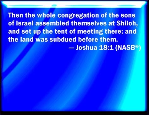 Joshua 181 And The Whole Congregation Of The Children Of Israel
