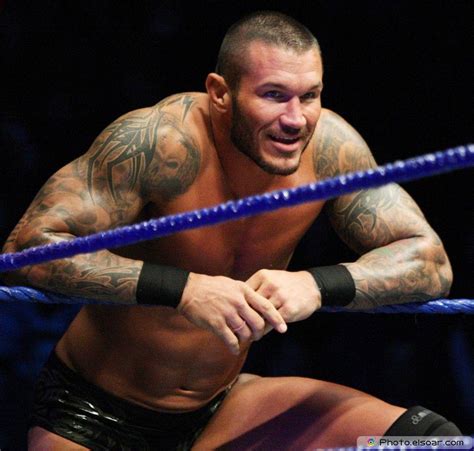 Wallpapers Randy Orton 2016 Wallpaper Cave