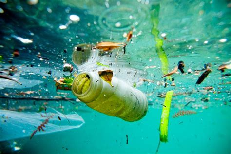Major Water Pollutants And How To Stop Them Ocean Pollution Water