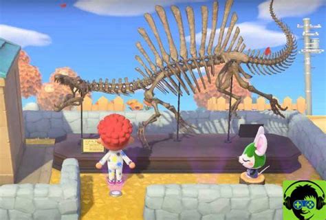 Animal Crossing New Horizon 11 Tarefas Diarias 🥇