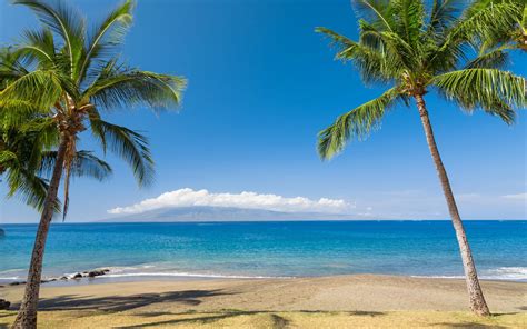 Download Wallpapers Hawaii Tropical Islands The Sea Ocean Beach