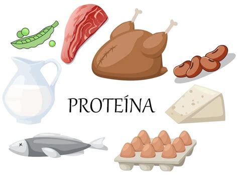 Leguminosas Y Alimentos De Origen Animal