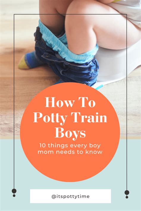 Tips For Potty Training Boys