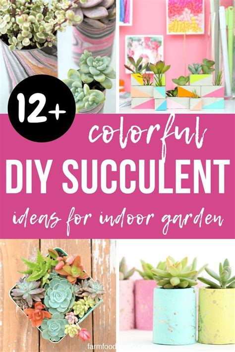 Colorful Succulent Container Garden Ideas For Your Indoor Garden