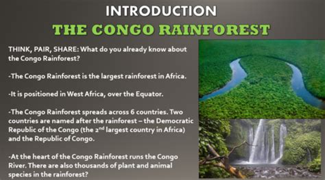 The Congo Rainforest Physical Geography Lesson Teaching Resources