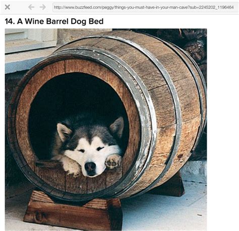 Wine Barrel Dog Bed For My Four Legged Friend