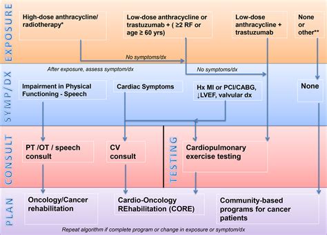 Cardio Oncology Rehabilitation To Manage Cardiovascular Outcomes In