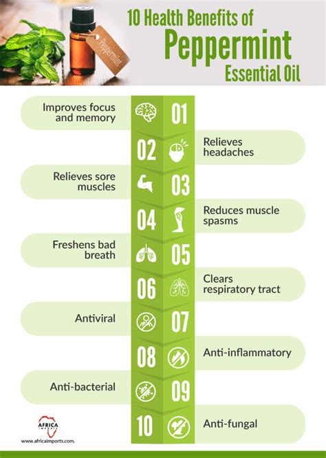 10 Health Benefits Of Peppermint Essential Oil Africa Imports