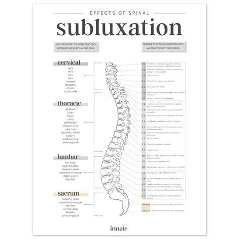 Meric Chart Spinal Subluxation Blue Green Nervous Etsy